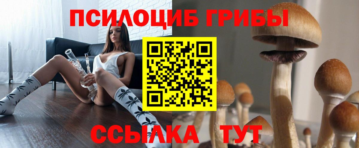 Верхний Уфалей  Псилоцибиновые грибы прущие грибы  Вход с VPN 